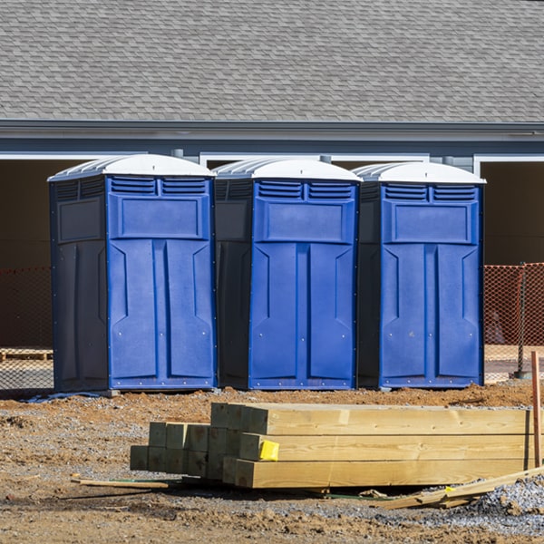 what is the cost difference between standard and deluxe portable restroom rentals in Bird Island Minnesota